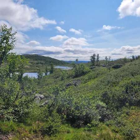 River View Leilighet *