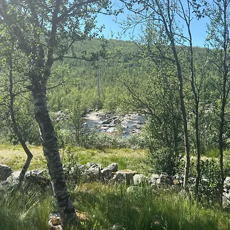 Апартаменты River View *