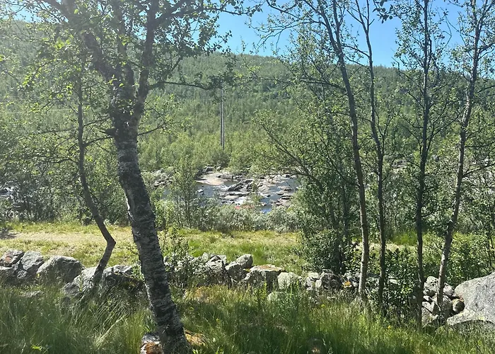 Apartment River View *