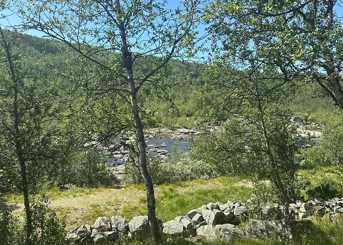 Apartment River View